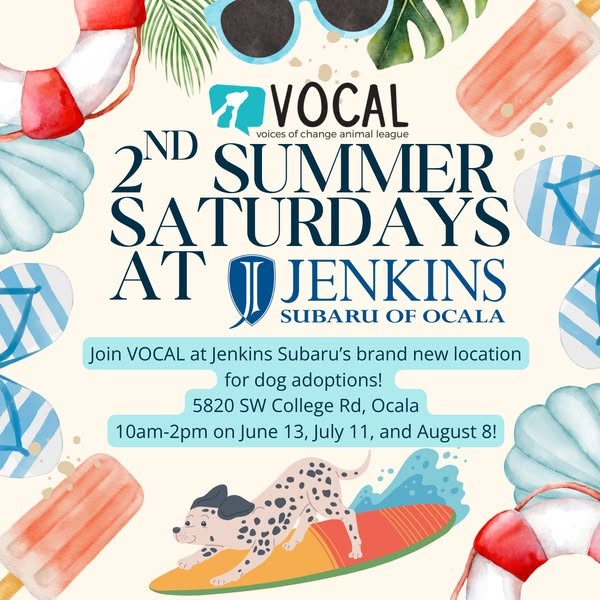 Poster for VOCAL dog adoption event at Jenkins Subaru of Ocala with summer graphics and a surfing dog image.