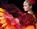 FIREBIRD with the University of Florida Symphony Orchestra